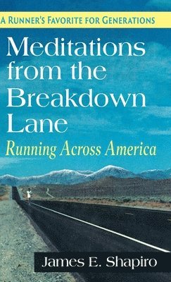 James E Shapiro, James E. Shapiro - Meditations from the Breakdown Lane, Inbunden