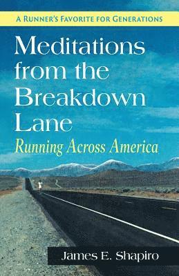 James E Shapiro, James E. Shapiro - Meditations from the Breakdown Lane, Häftad