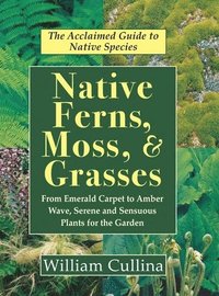 bokomslag Native Ferns, Moss, and Grasses