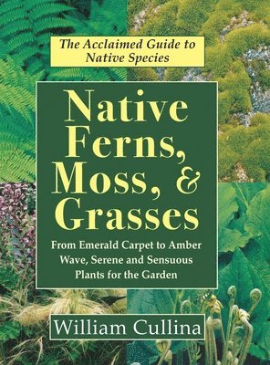 bokomslag Native Ferns, Moss, and Grasses