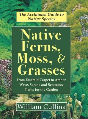bokomslag Native Ferns, Moss, and Grasses