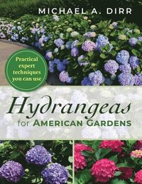 bokomslag Hydrangeas for American Gardens