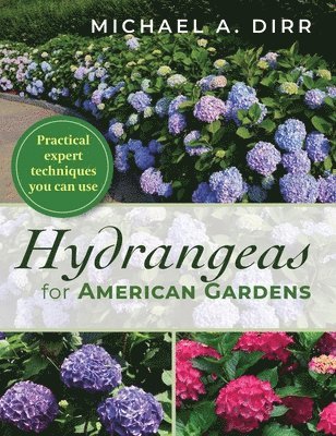 Hydrangeas for American Gardens 1