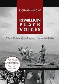 bokomslag 12 Million Black Voices