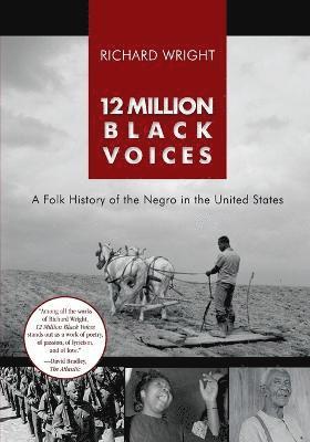 bokomslag 12 Million Black Voices