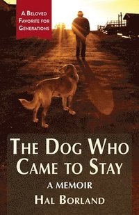 bokomslag The Dog Who Came to Stay
