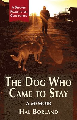 Dog Who Came to Stay