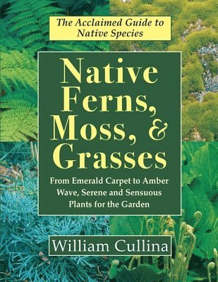 Native Ferns, Moss, and Grasses 1