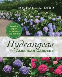 bokomslag Hydrangeas for American Gardens
