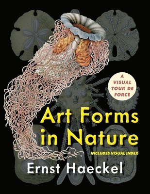 bokomslag Art Forms in Nature (Dover Pictorial Archive)