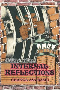bokomslag Internal Reflections