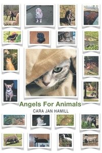 bokomslag Angels for Animals