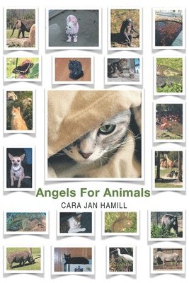 Angels for Animals 1