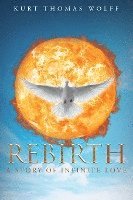 bokomslag Rebirth