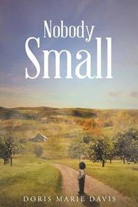 bokomslag Nobody Small