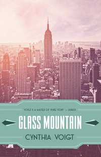 bokomslag Glass Mountain