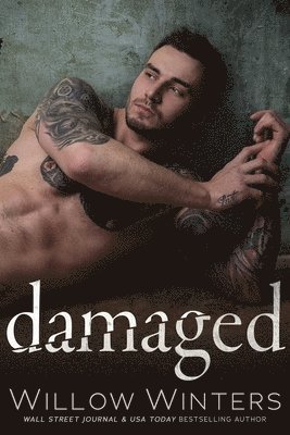 Willow Winters - Damaged, Häftad