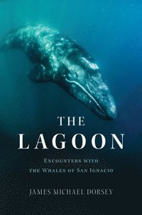 bokomslag The Lagoon