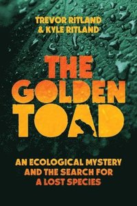 bokomslag The Golden Toad