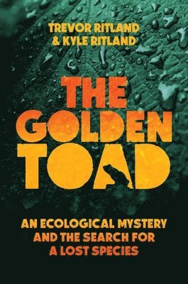 The Golden Toad 1