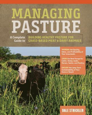 bokomslag Managing Pasture