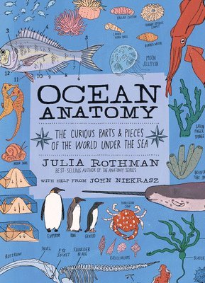 bokomslag Ocean Anatomy