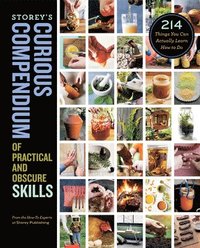 bokomslag Storey's Curious Compendium of Practical and Obscure Skills