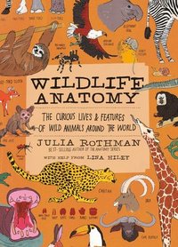 bokomslag Wildlife Anatomy
