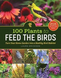 bokomslag 100 Plants to Feed the Birds