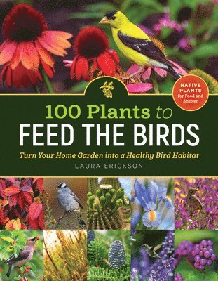 100 Plants to Feed the Birds 1