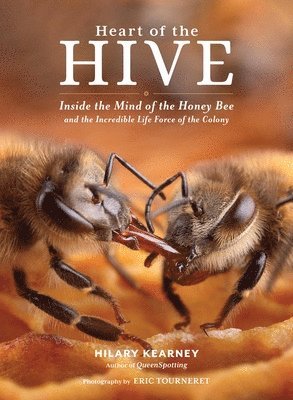 Eric Tourneret, Hilary Kearney - Heart of the Hive, Inbunden