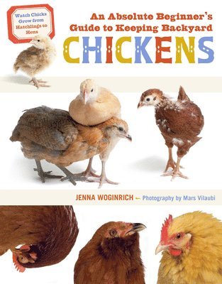 bokomslag An Absolute Beginner's Guide to Keeping Backyard Chickens