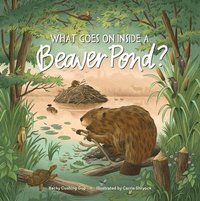 bokomslag What Goes on inside a Beaver Pond?