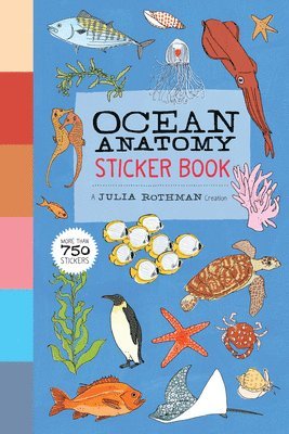 Julia Rothman - Ocean Anatomy Sticker Book, Häftad