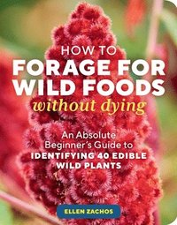 bokomslag How to Forage for Wild Foods without Dying