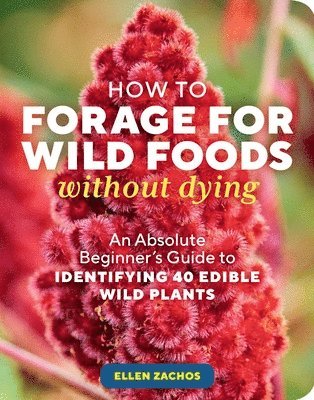 bokomslag How to Forage for Wild Foods without Dying