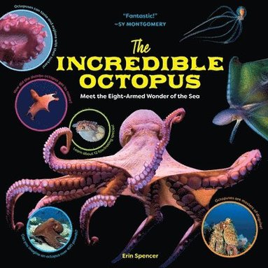 Erin Spencer - The Incredible Octopus, Inbunden