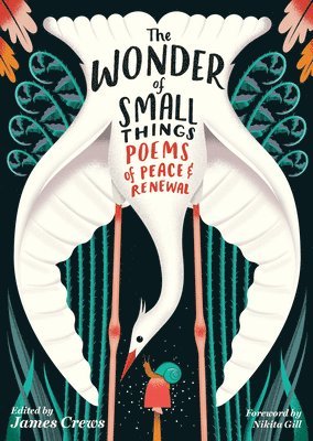 James Crews - Wonder of Small Things, Häftad