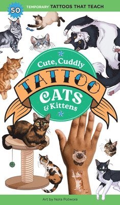 Cute, Cuddly Tattoo Cats & Kittens 1