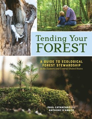 bokomslag Tending Your Forest