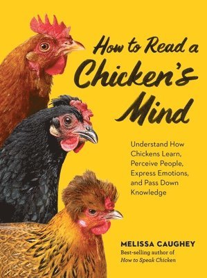 Melissa Caughey - How to Read a Chicken's Mind, Häftad