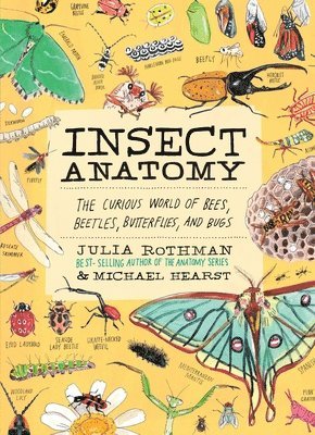 Insect Anatomy 1