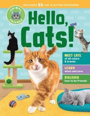 Animal Friends: Hello, Cats! 1