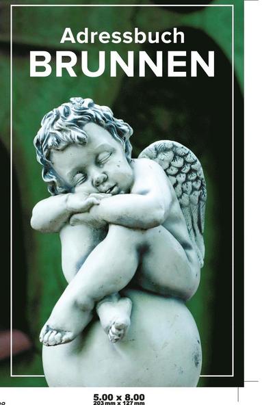 bokomslag Adressbuch Brunnen