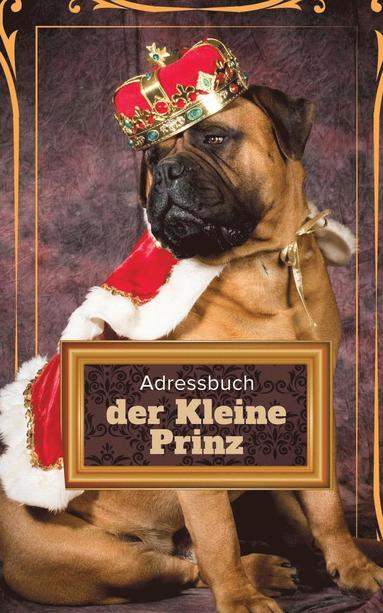 bokomslag Adressbuch der Kleine Prinz