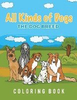 bokomslag All Kinds Of Dogs