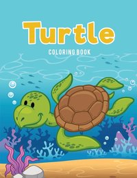 bokomslag Turtle Coloring Book