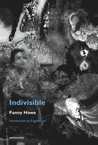 bokomslag Indivisible, new edition