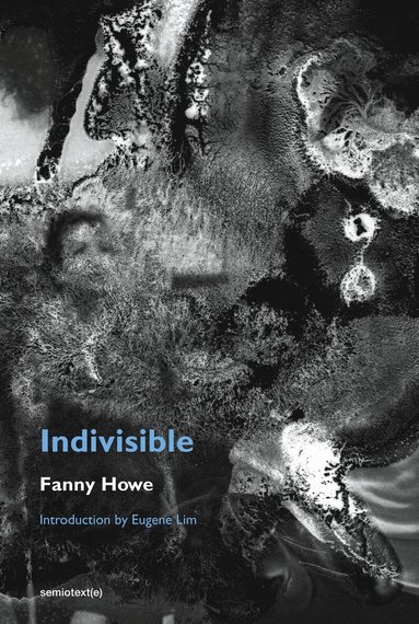 Fanny Howe, Eugene Lim - Indivisible, new edition, Häftad