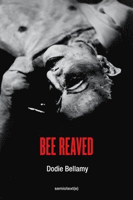 Dodie Bellamy - Bee Reaved, Häftad